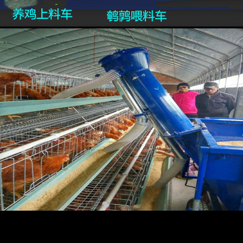 辽宁葫芦岛蛋鸡自动喂料车厂家低价包邮
