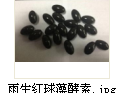 台湾佳联雨生红球藻酵素能改善皮肤健康让你重绽美丽