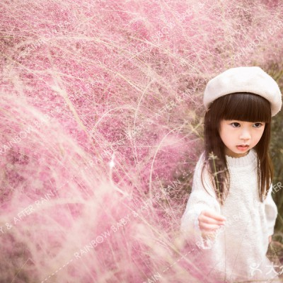 上海Rainbow Baby高端儿童摄影（粉黛子）