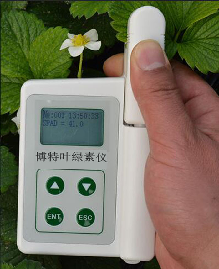 运城博特手持叶绿素测定仪BNY-S