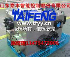YN32-100FXCV 标准100T系统山东泰丰液压