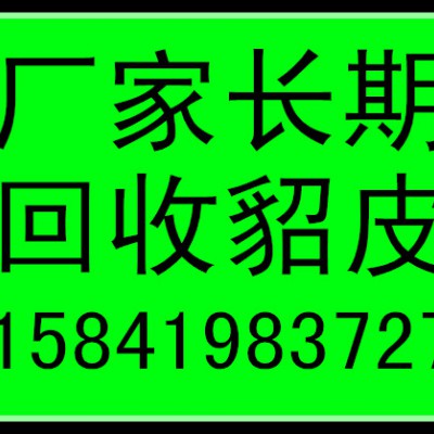 大兴安岭回收貂皮的大兴安岭收貂皮的