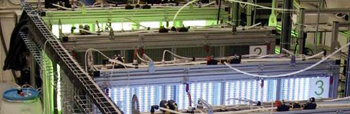 http://psi.cz/img/products/photobioreactors/large-scale-photobioreactors-title.jpg