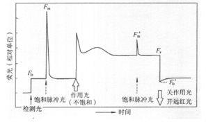 渠道科技-生态监测解决方案专家