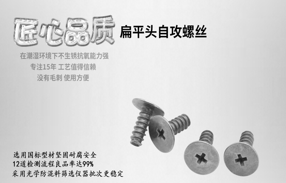 扁平头螺丝