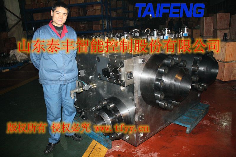 专业研发制造HBS重型液压金属剪切机专用插装阀、阀组