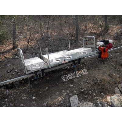 厂家直发单轨运输车 单轨运输车哪里有卖的