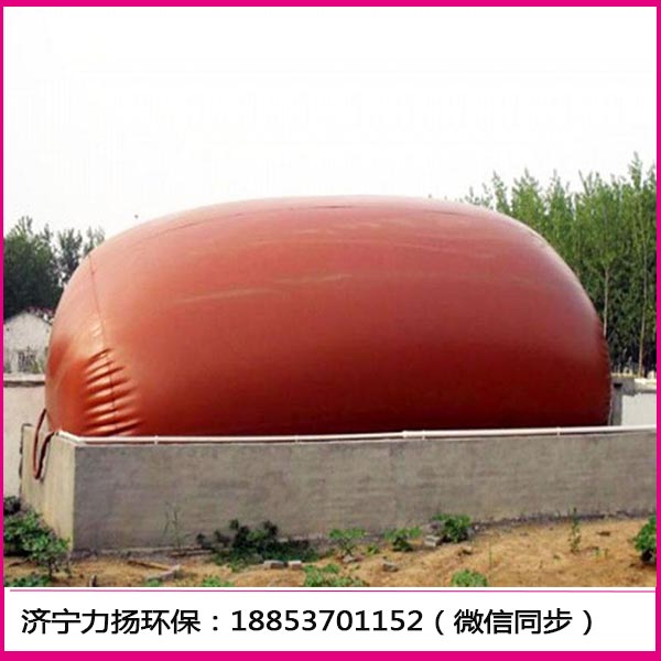 红泥沼气袋 (38)