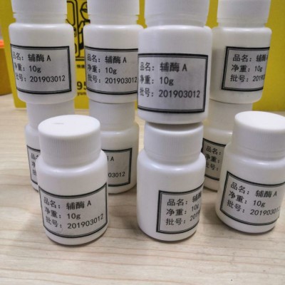 辅酶A 厂家新货 辅酶A大量库存供应