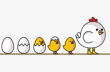 喂养种鸡需要注意什么(图1)