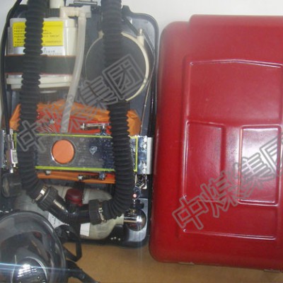 MZS-30苏生器销售  榆林自动苏生器