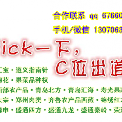 郑州棉花代理开户强大助力配资杠杆配置高资金能力强
