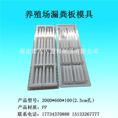 养殖场漏粪板模具批发