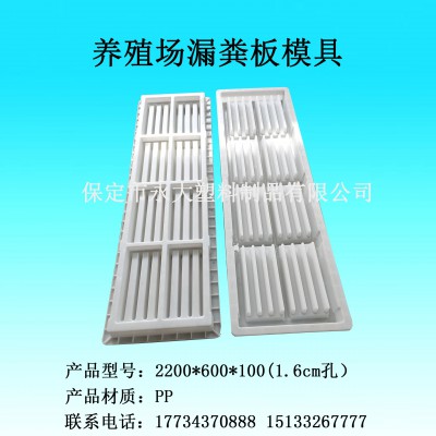 养殖场漏粪板模具直销