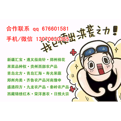 郑州棉花代理开户在线绑定账号配资平台设置强平线