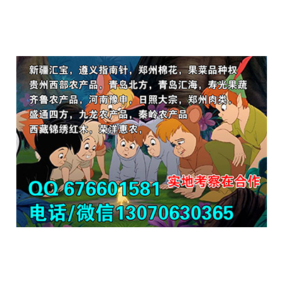 青岛汇海短期长期持仓做好资金管理开户选择好方向
