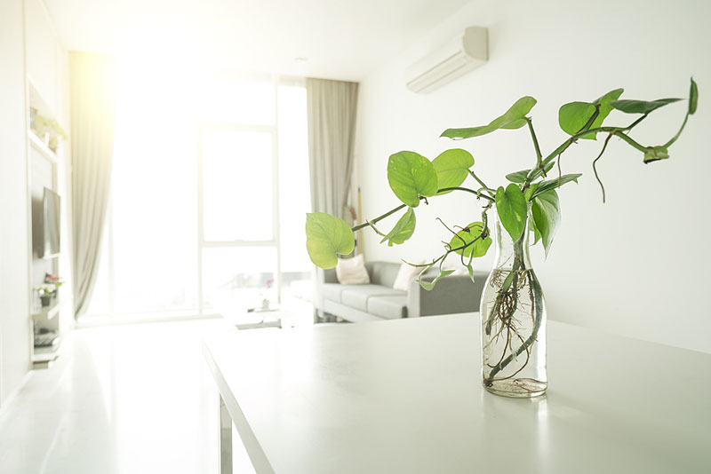 北京去除甲醛的公司化大阳光室内甲醛治理