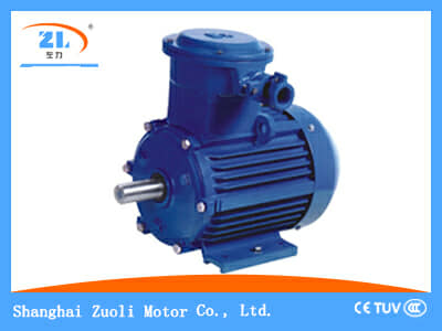 高压防爆电机轴承的使用与维修技巧(图1)