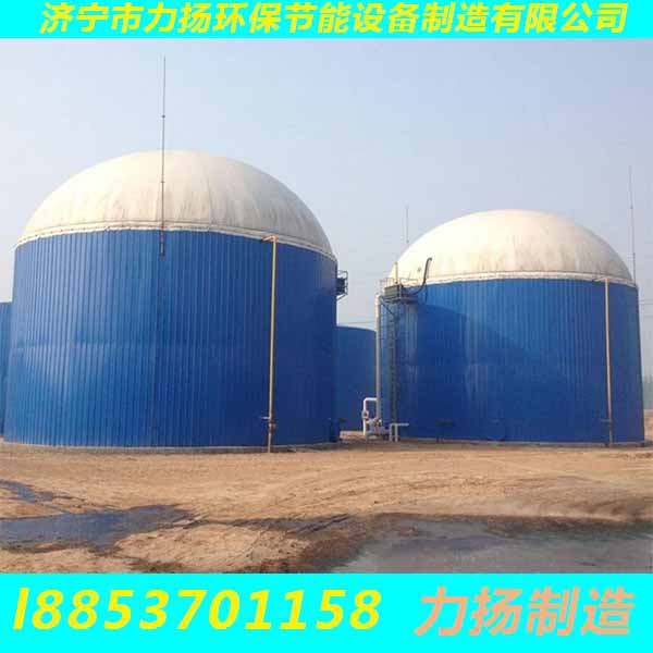 厌氧发酵罐 (3)