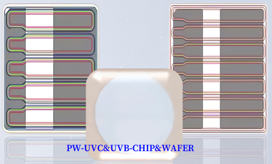 UVC芯片光效高2mW20*10mil PCC-02-V1