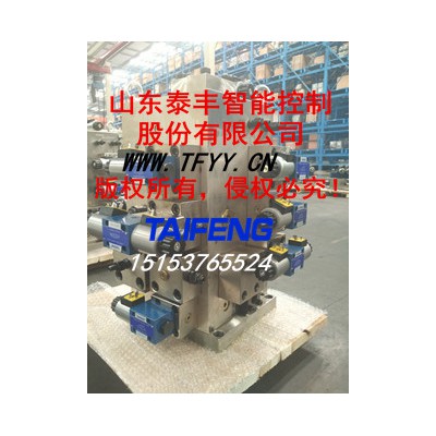 TF10032Y-00A折弯机阀组