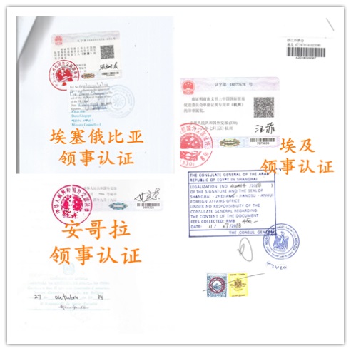 领事认证样本素材
