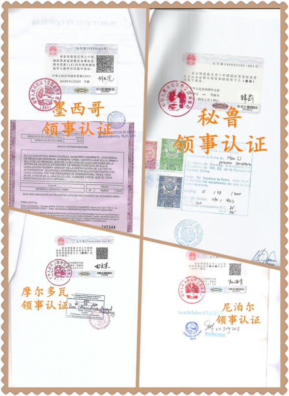 领事认证样本素材