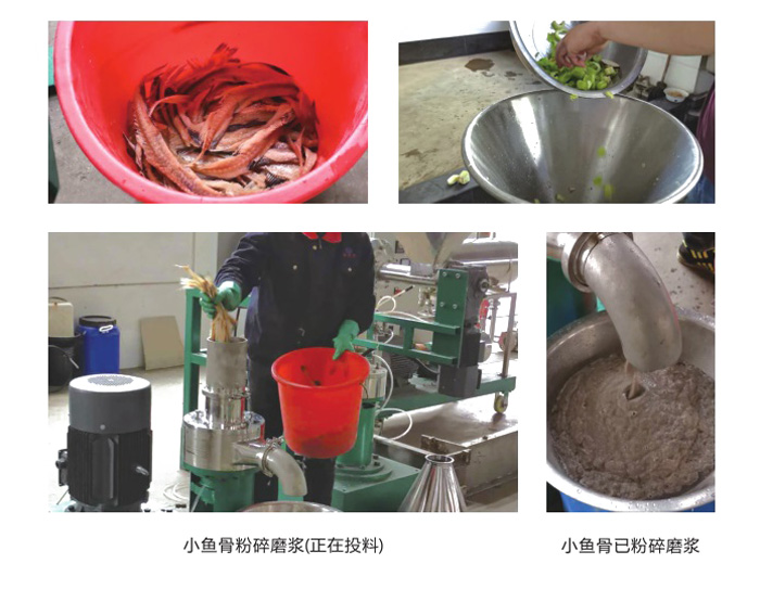 骨泥磨浆机