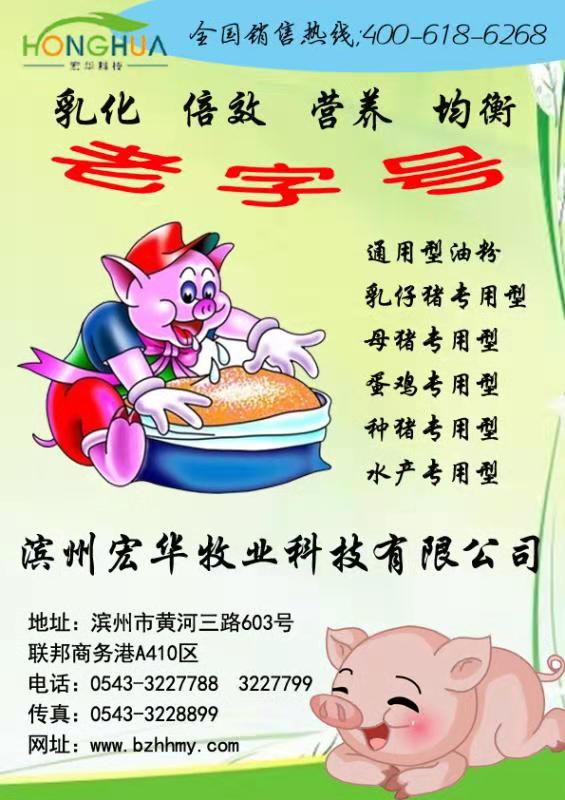 金宝能乳仔猪专用乳化油粉