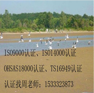 河北保定三体系认证，ISO9001质量管理体系认证