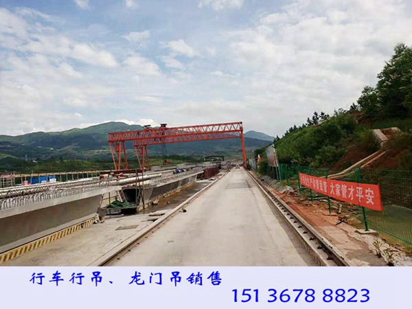 门式起重机 (34)
