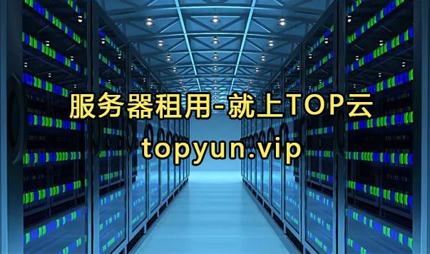 TOP云温州高防物理服务器租用 24核32G低至399元每月