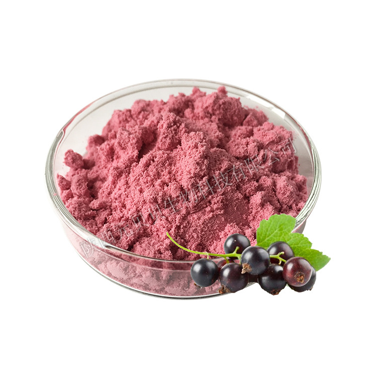 蓝莓粉果蔬粉植物提取物量多从优实力工厂