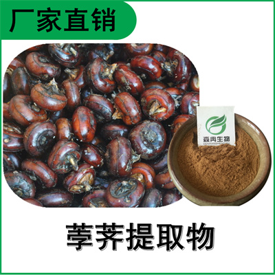 森冉生物 荸荠提取物 马蹄提取物 植物提取原料粉