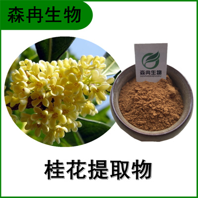 森冉生物 桂花提取物 木犀花提取物 植物提取原料粉