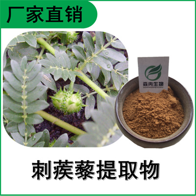 森冉生物 刺蒺藜提取物 刺蒺藜皂甙 蒺藜提取物