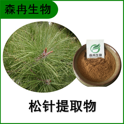 森冉生物 松针提取物 松叶提取物 比例提取原料粉
