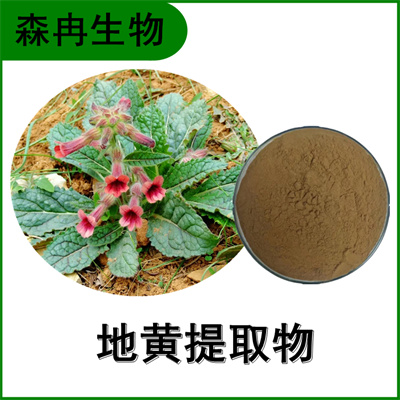 森冉生物 地黄提取物 鲜地黄提取物 比例提取原料粉