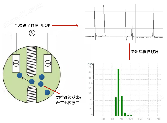 纳米粒度及电位分析仪