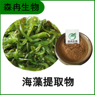 森冉生物 海藻提取物 海根菜提取物 海藻多糖 厂家直供