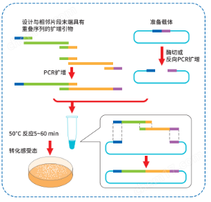DNA Assembly Mix Plus无缝克隆