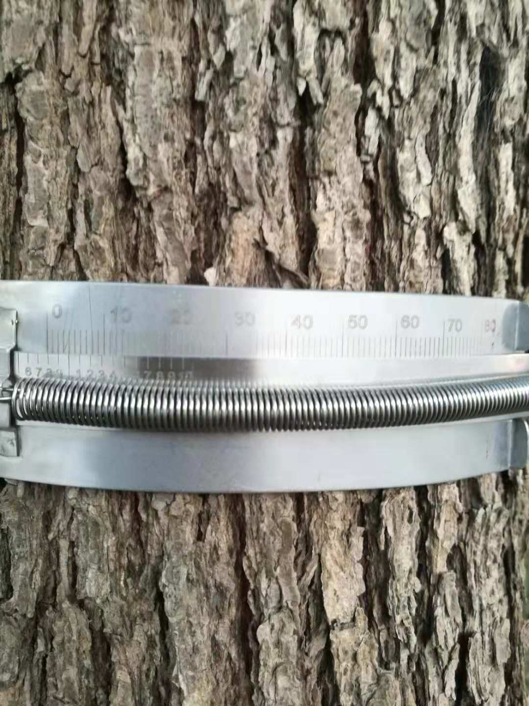 QT304树木生长尺