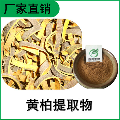森冉生物 黄柏提取物 川柏提取物 比例提取原料粉