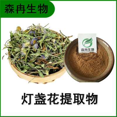 森冉生物 灯盏细辛提取物 灯盏花提取物 比例提取原料粉