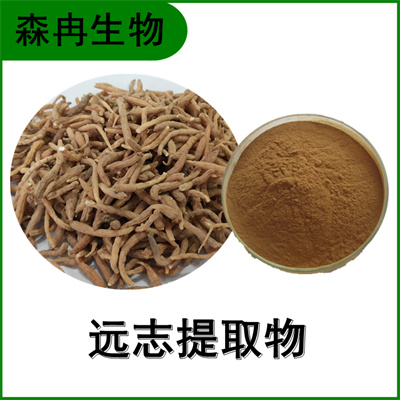 森冉生物 远志提取物 葽绕提取物 比例提取原料粉