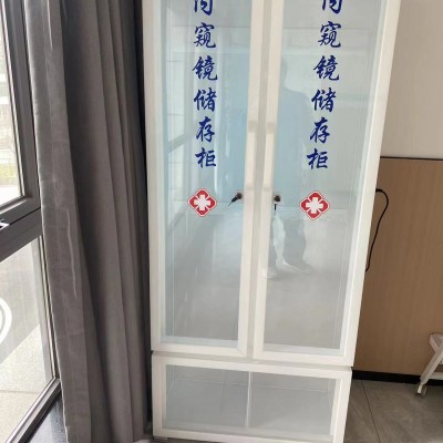 有机储存柜 胃肠镜双门柜 纤支镜悬挂柜