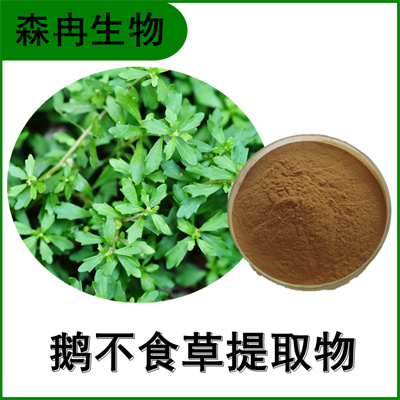 森冉生物 鹅不食草提取物 石胡荽提取物 比例提取原料粉