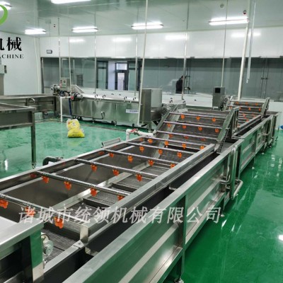 多功能高压喷淋气泡清洗机 水果 蔬菜清洗流水线