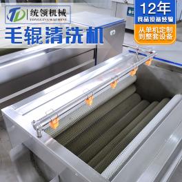 毛辊去泥去皮清洗机 萝卜去泥清洗机 土豆生姜去皮清洗机