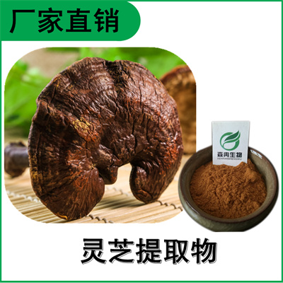 森冉生物 灵芝提取物 灵芝多糖 赤芝提取物 多种规格原料粉